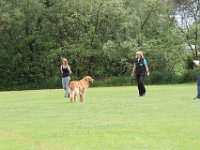 Bendix und das Boxband (25)